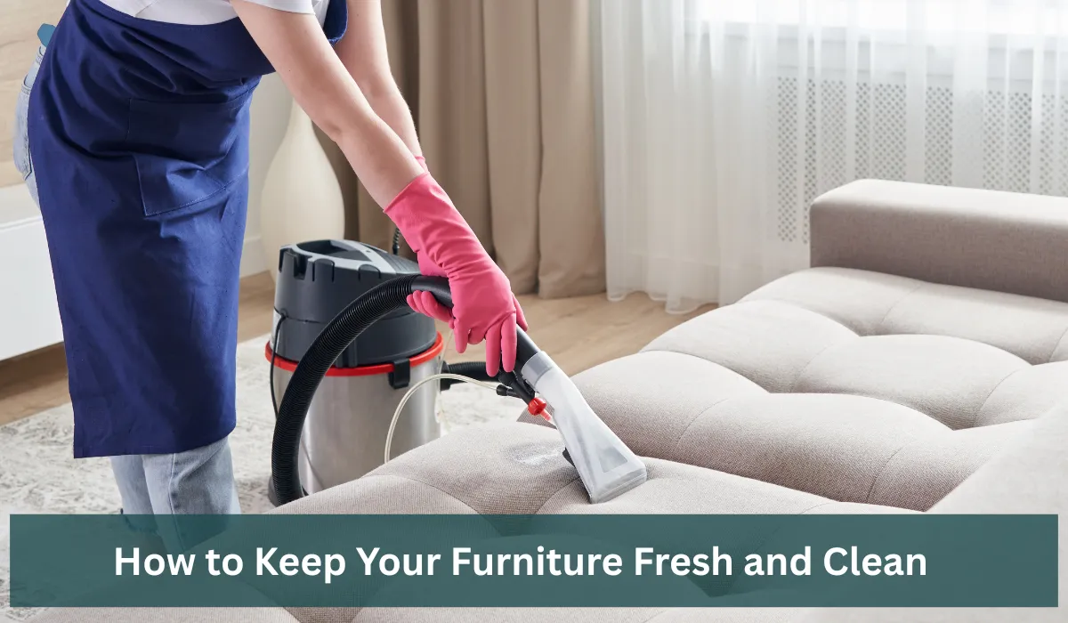 Expert doing Furniture Clean and Fresh